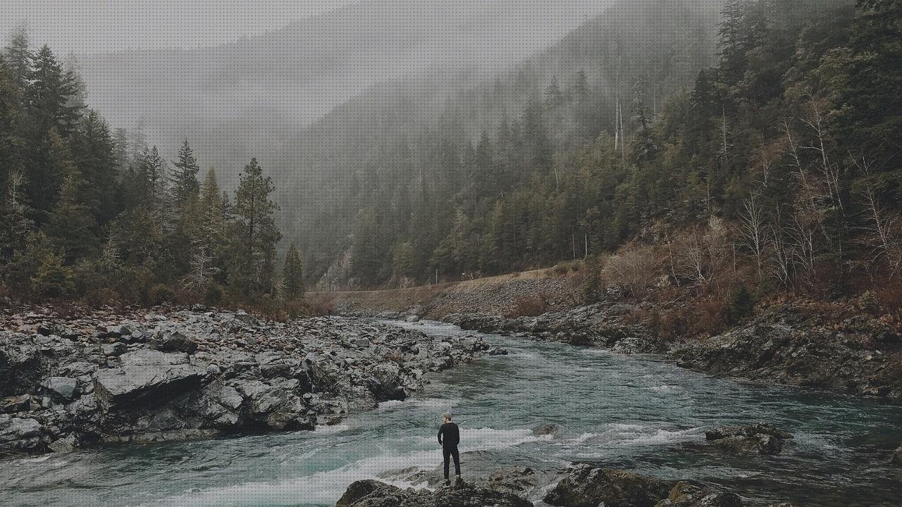 Las mejores Mas vendas postoperatorias Mas vendas postoperatorias Mas vendas postoperatorias pie xon vendas