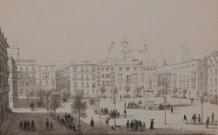 Opiniones de placa apra el fonendoscopio