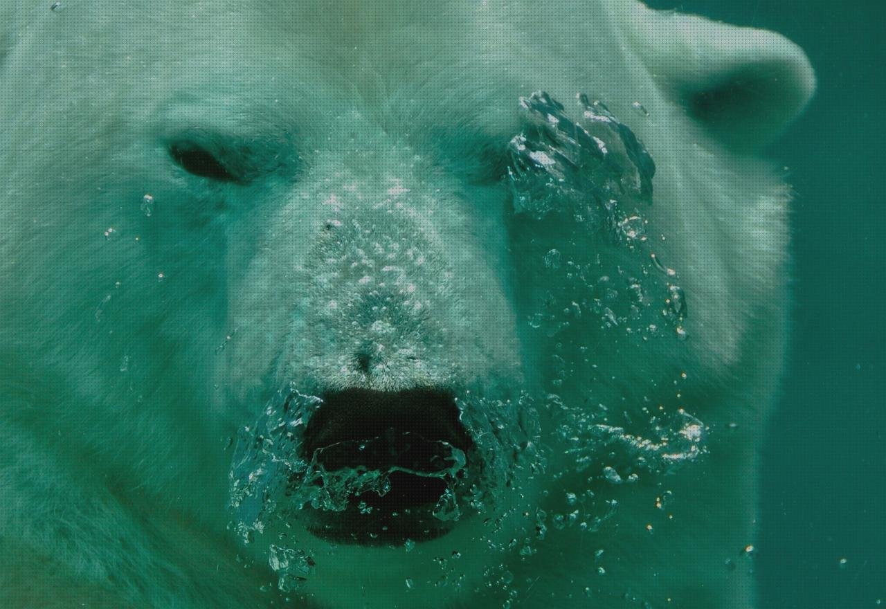 Review de polar cpn tensiometro