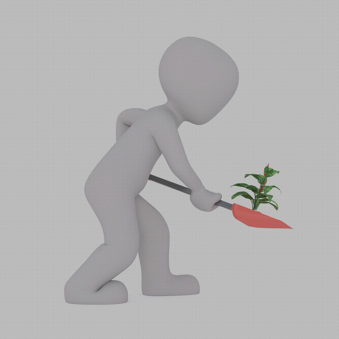 Las mejores marcas de protectores protector campana fonendoscopio