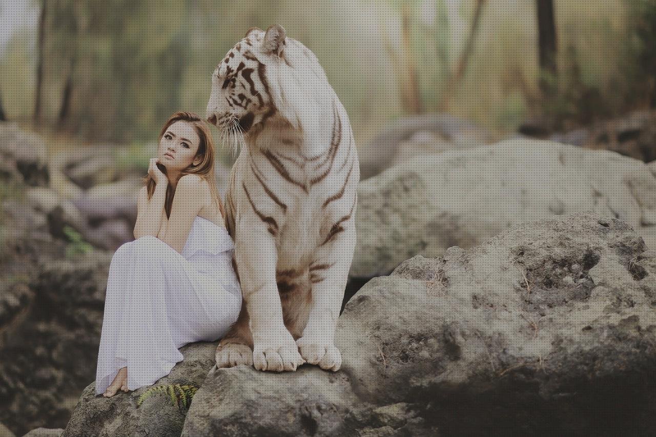 Mejores 7 protectores siliconas fonendoscopios