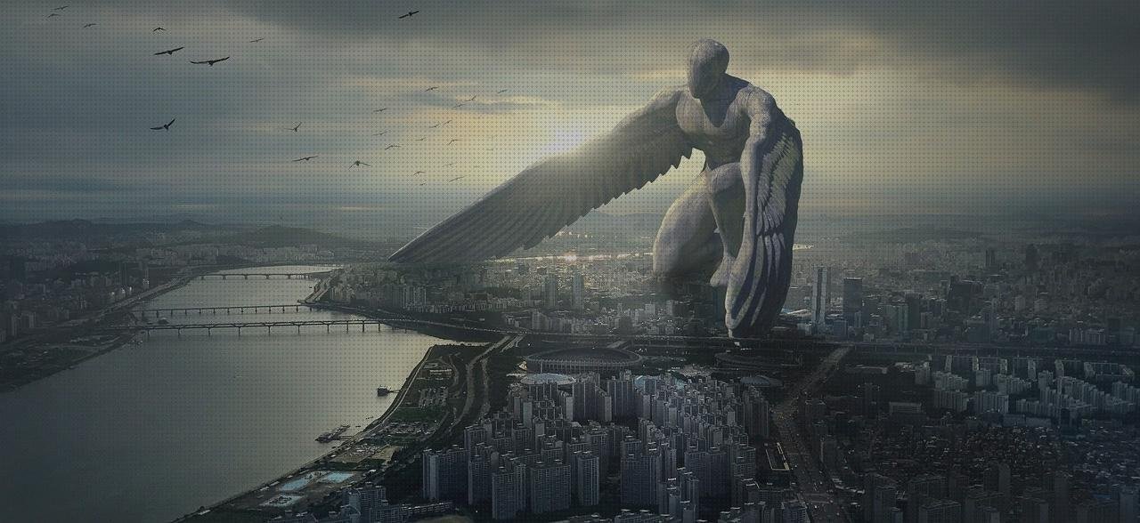 ¿Dónde poder comprar vendas protector vendas?