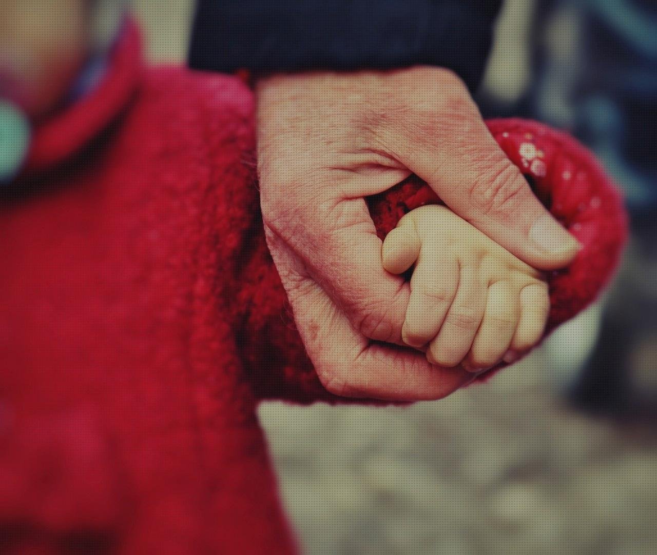 Las mejores vendas protector vendas