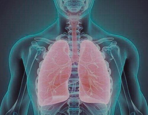 ¿Dónde poder comprar pulsioximetria pulsioximetría flujo paradójico?