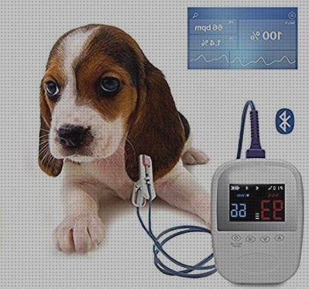 Las mejores marcas de perros pulsioxímetro para perros