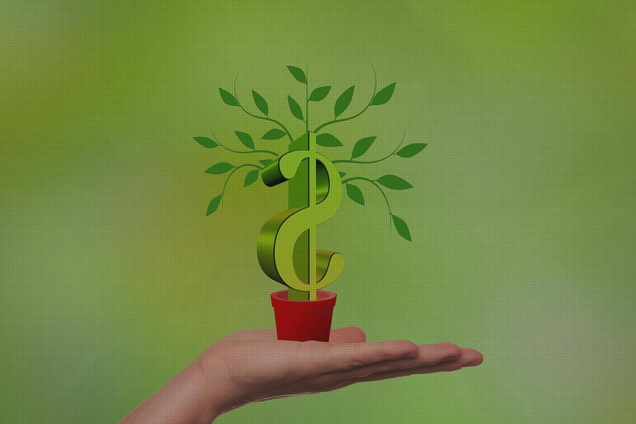 Las mejores Mas vendas de baja extensibilidad Mas vendas el bronx Mas produtividade de vendas rentabilidad de las vendas