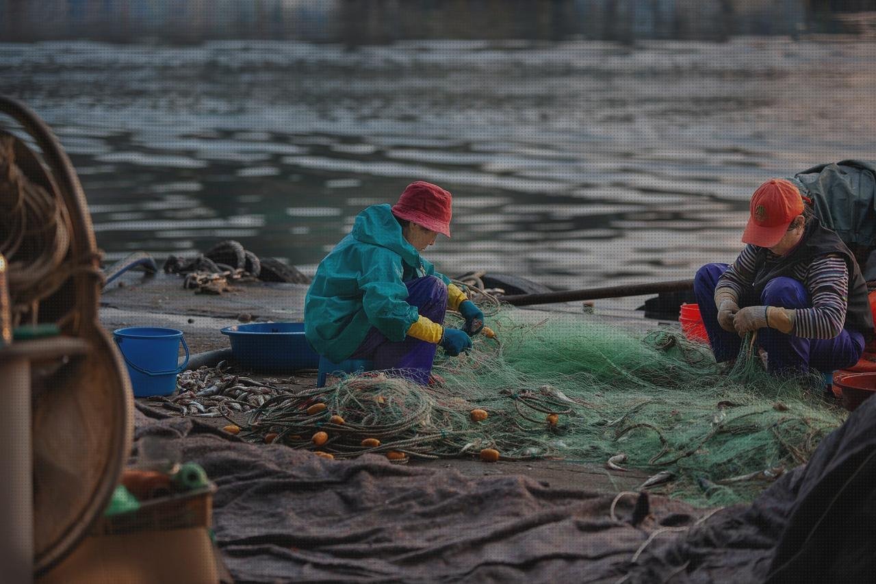 Opiniones de littmann estetoscopios reparacion de estetoscopios littmann