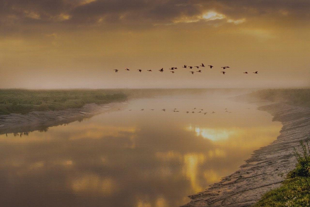 Opiniones de los 19 mejores Riós As Vendas