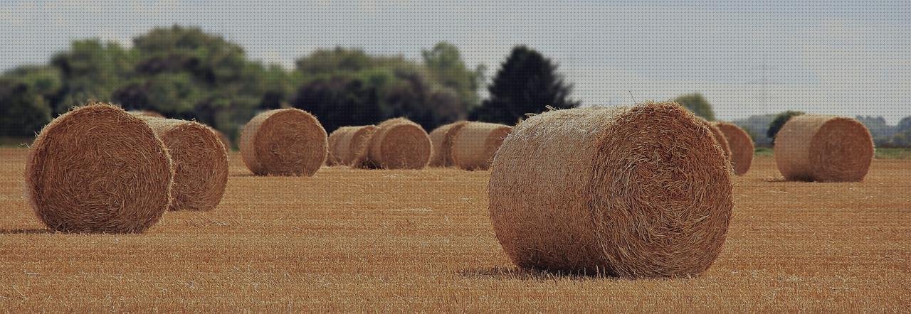 Las mejores tensiometros rodillos tensiometros