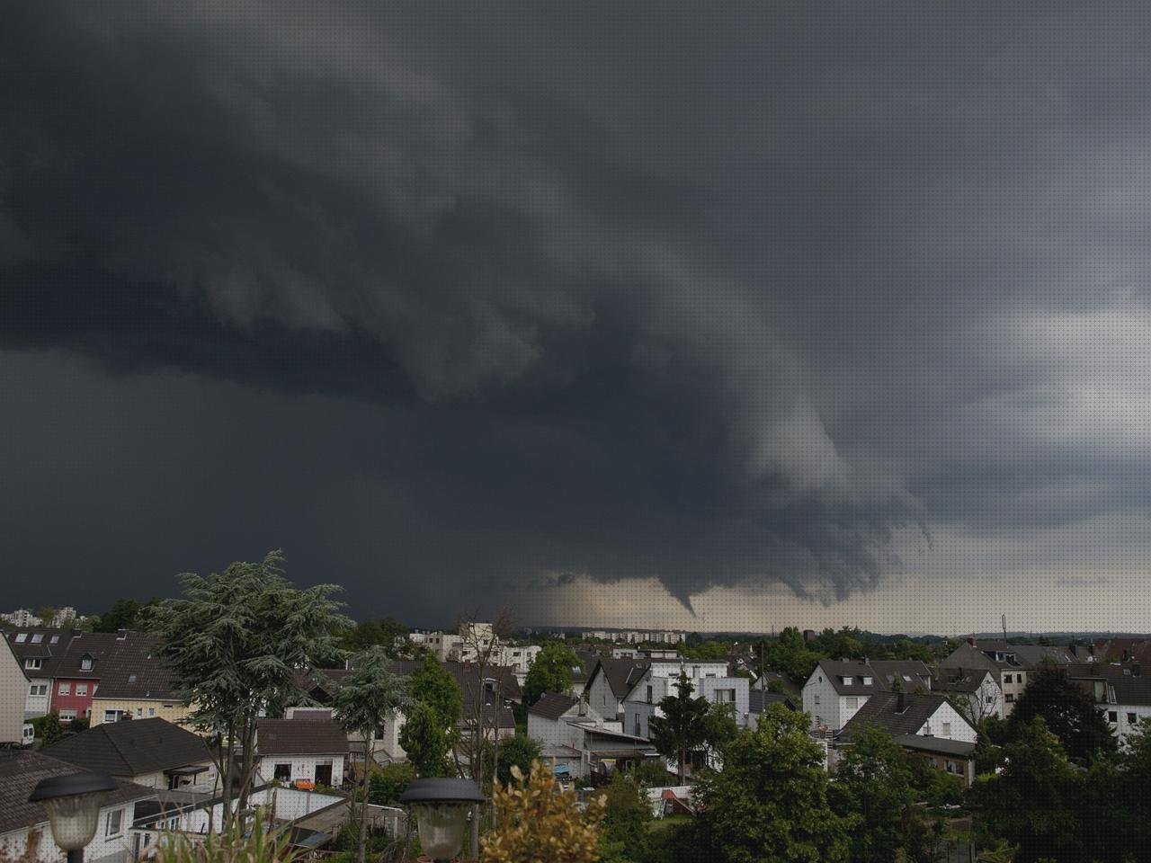 Las mejores marcas de Mas vendas postoperatorias Mas vendas conan Mas vendas medilast rumble vendas