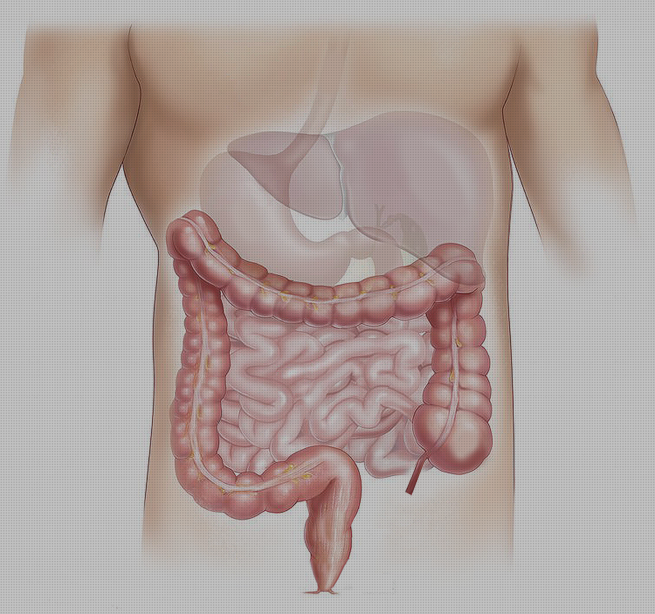 TOP 11 productos salivales médicos bajo análisis