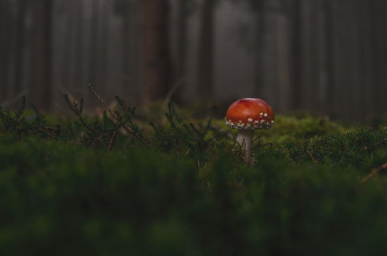 Review de set otoscopio oftalmoscopio