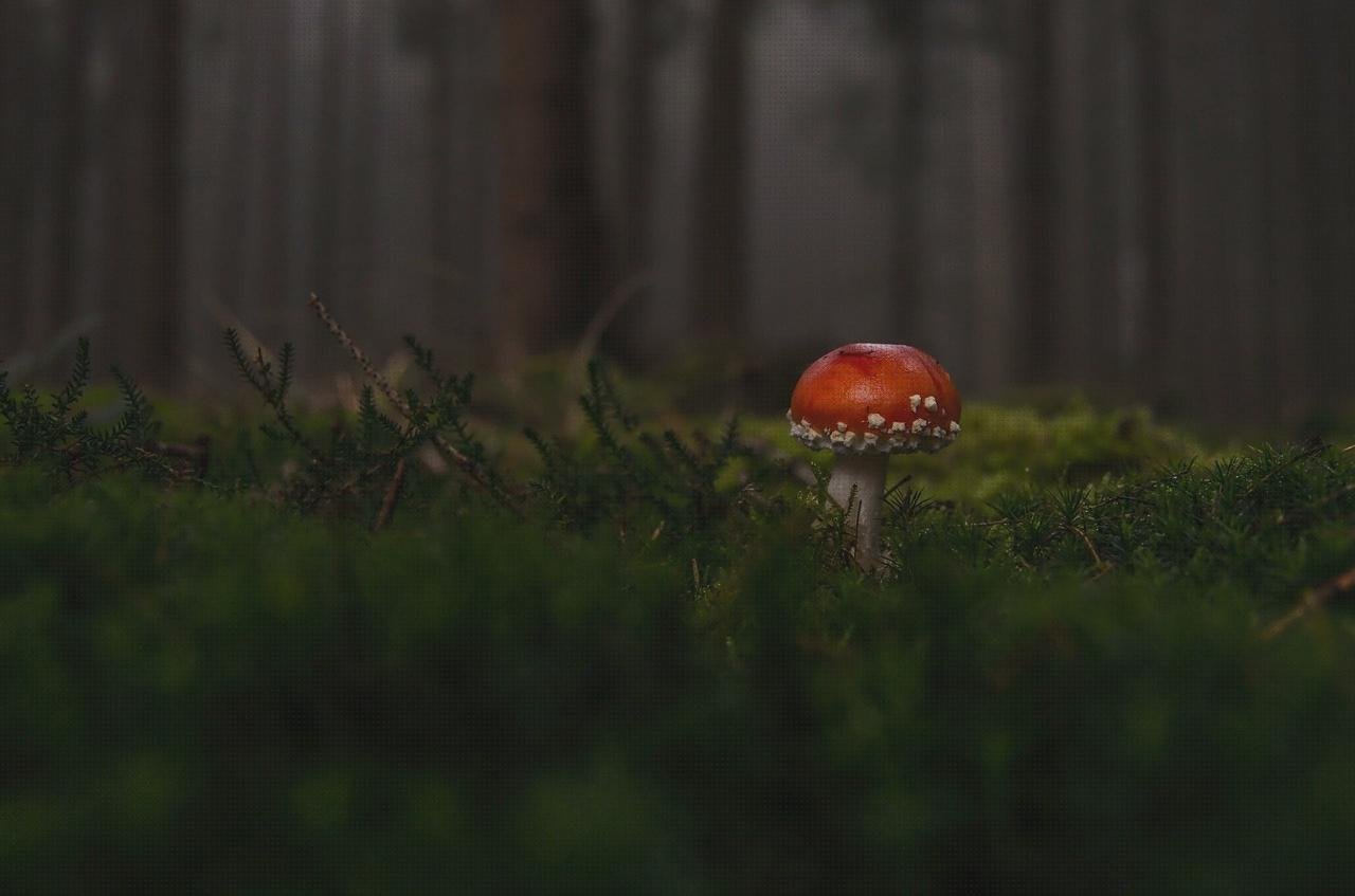 Review de set termómetros bebe