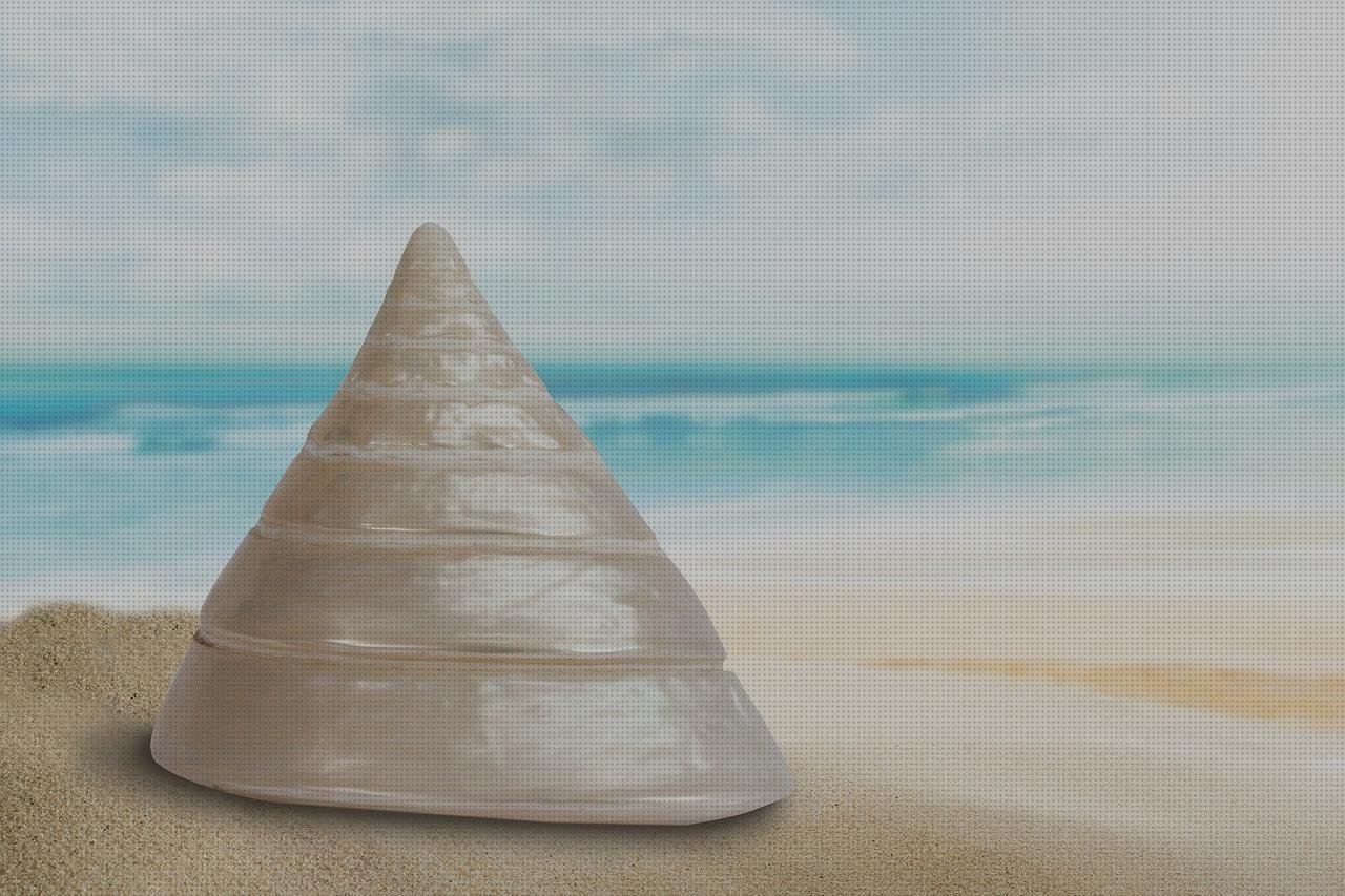 Review de shell vendas novas