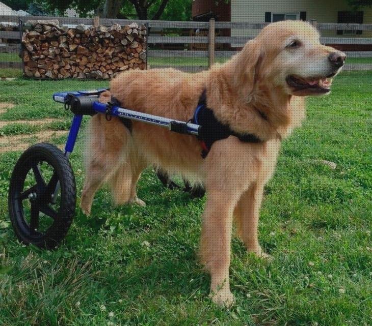 Opiniones de sillas ruedas silla de ruedas artesanal