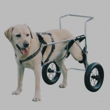 Análisis de las 18 mejores Sillas De Ruedas Caninas