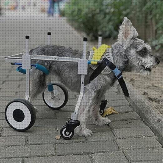 Las mejores animales ruedas silla de ruedas para animales