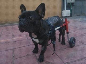 Las mejores 8 Sillas De Ruedas Para Bulldog Frances