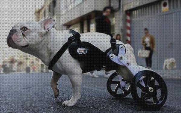 Review de silla de ruedas para bulldog frances