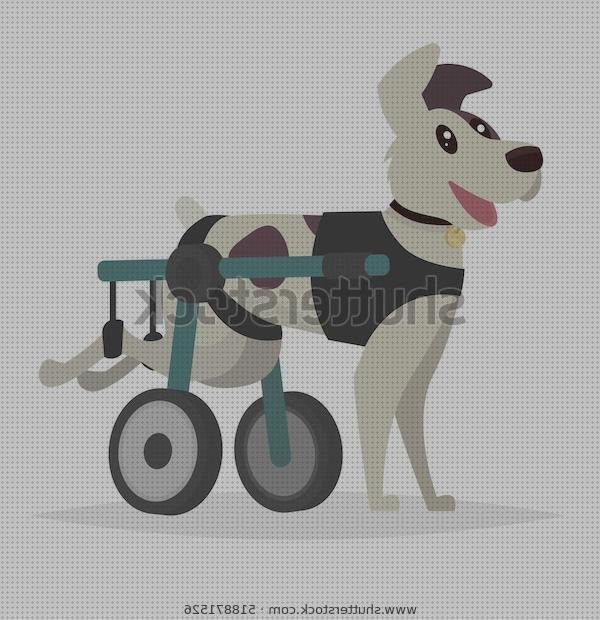 ¿Dónde poder comprar perros ruedas silla de ruedas para perros patas traseras?