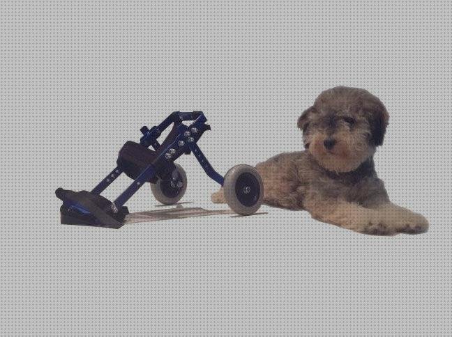 ¿Dónde poder comprar perros ruedas silla de ruedas para perros pequeños?