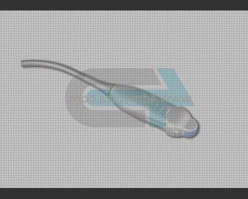 Las mejores ecografia utero anatomia ecografica sonda ecografica