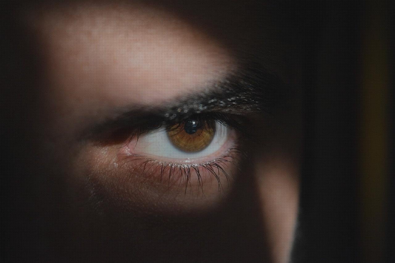 Las mejores marcas de stand vendas vendas stand de vendas container