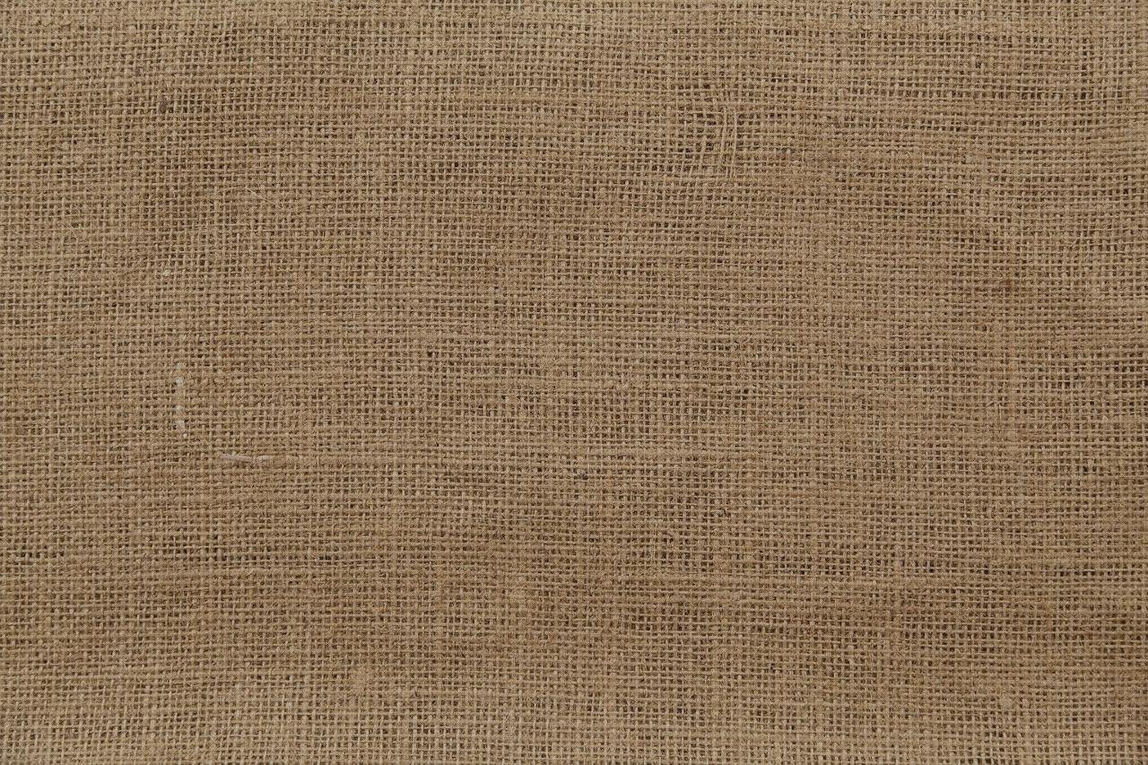 Las mejores marcas de teles tele estetoscopio