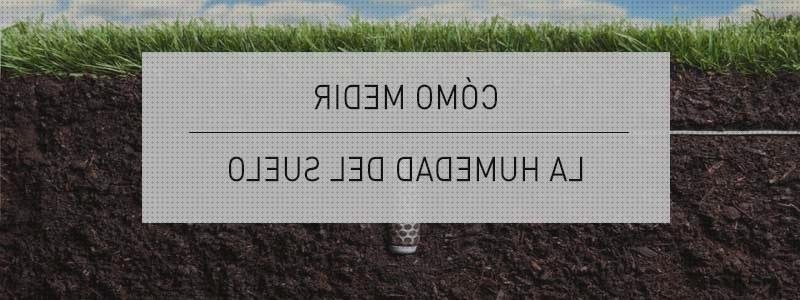 Review de tensiometro riego