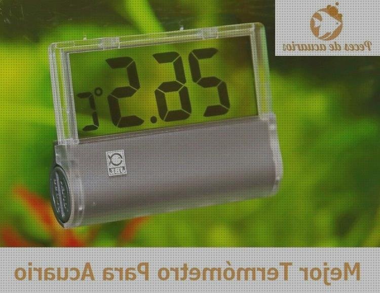 Las mejores Mas ecografía gemelar 5d Mas apósito port a cath Mas muñecos fonendoscopio termómetro adhesivo acuario fuera