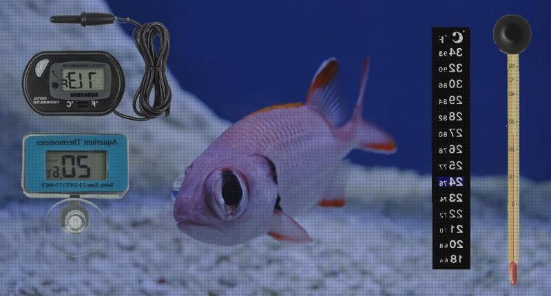Review de termómetro adhesivo acuario fuera