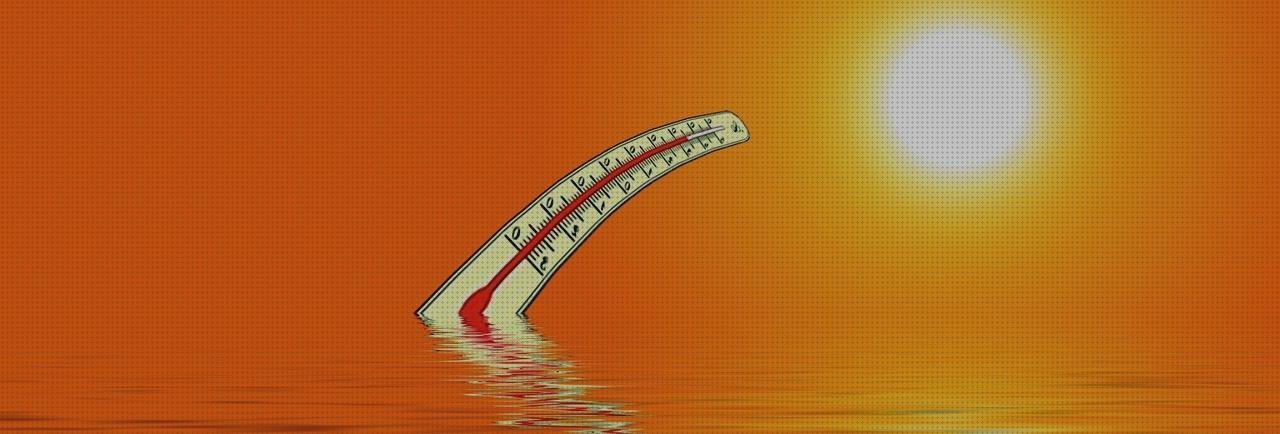 Las mejores marcas de termómetro galileo Mas derrame pleural ecografía Mas espirómetros tipos termómetro de agua de galileo