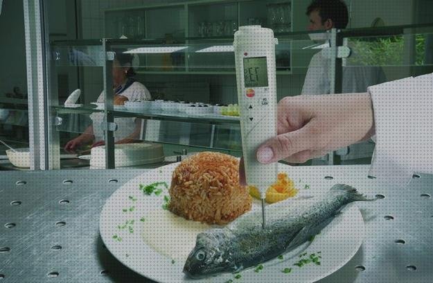 Análisis de los 15 mejores Termómetros De Cocinas Digitales Mejores