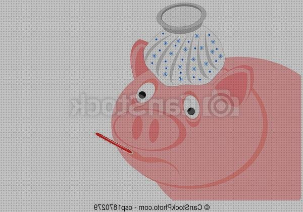 Las mejores marcas de termómetro termómetro hielo