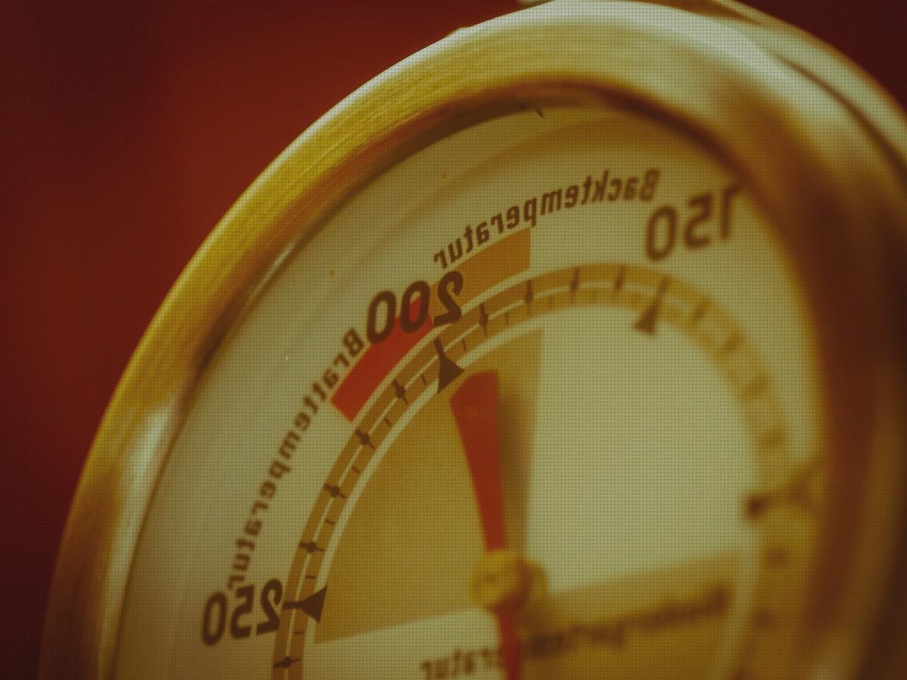 Análisis de los 20 mejores Termómetros Hornos Vainas