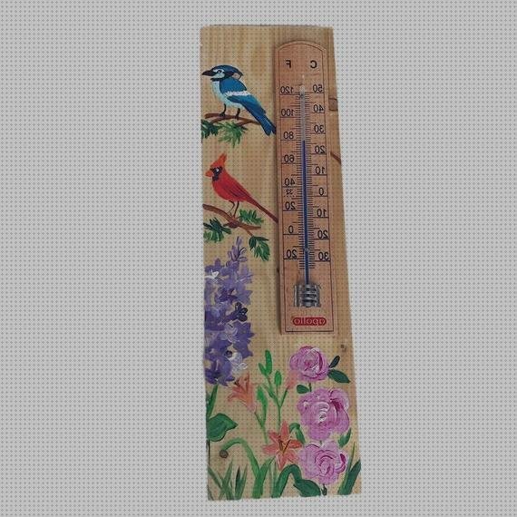 Las mejores Mas marcha pulsioxímetro Mas fonendoscopio magriña Mas eteckcity 1080 termómetro infrarrojo digital termómetro impresión de hierbas