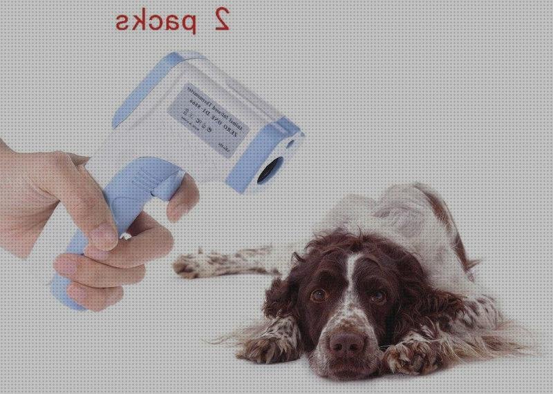 Los mejores 26 Termómetros Infrarrojos Veterinarios