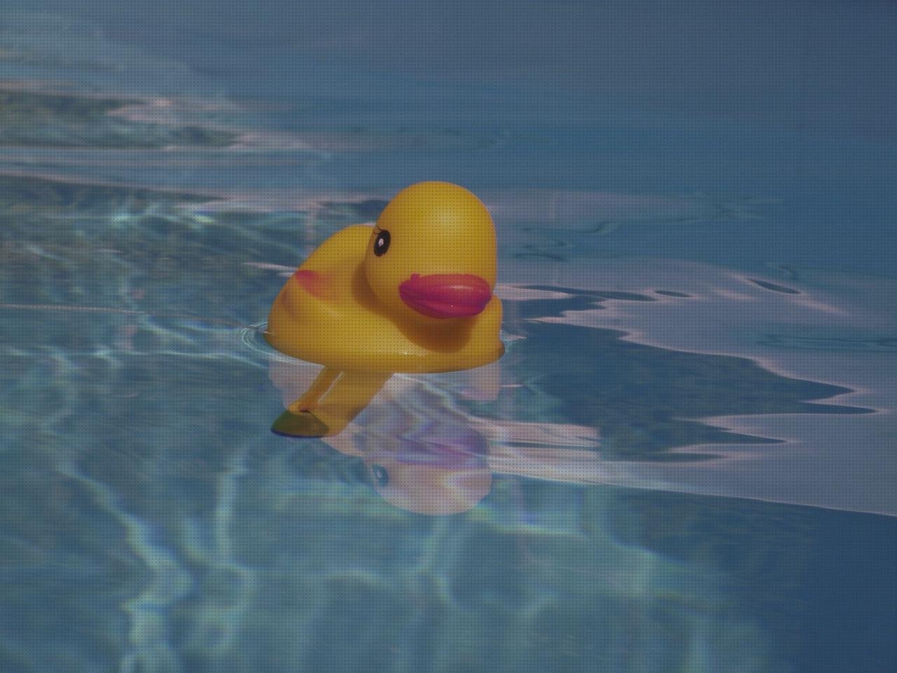 ¿Dónde poder comprar termómetro piscina termómetro termómetro piscina sumergible?