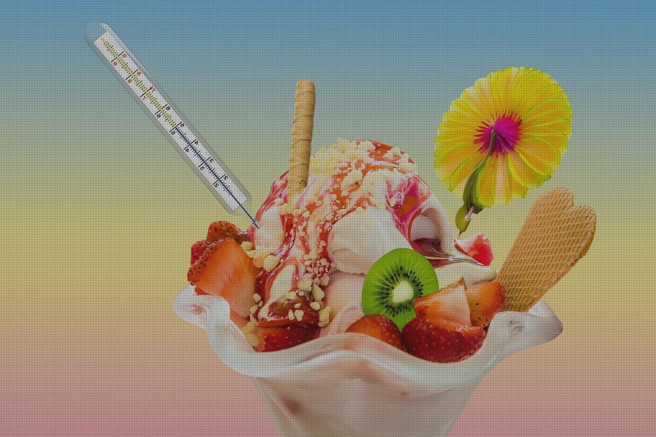 ¿Dónde poder comprar termómetros termómetros con sonda?