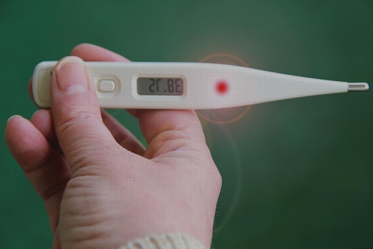 Las mejores marcas de termómetros digitales termómetros termómetros digitales con sonda