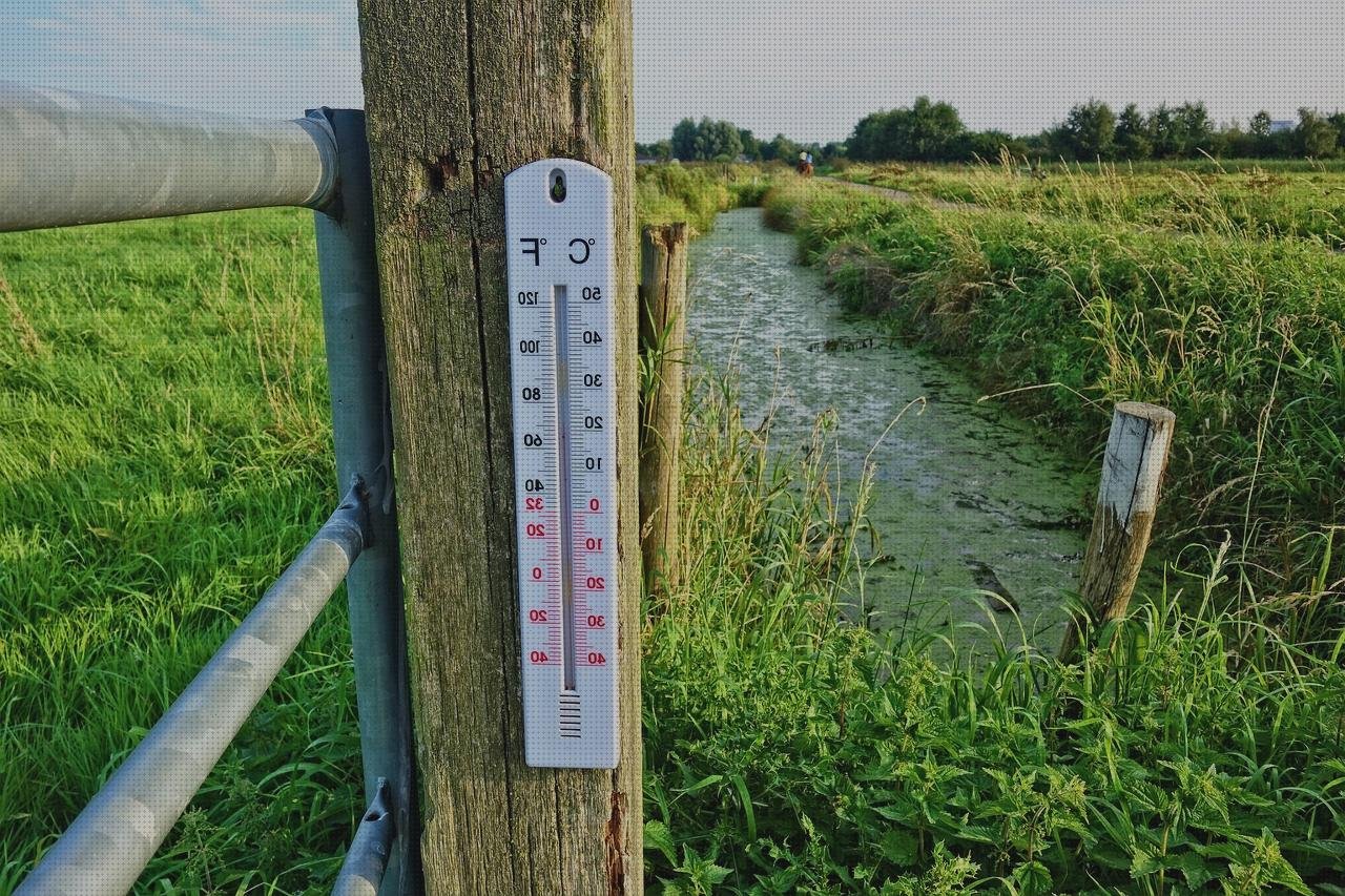 Los mejores 18 Termómetros Electrónicos Sensores Azules