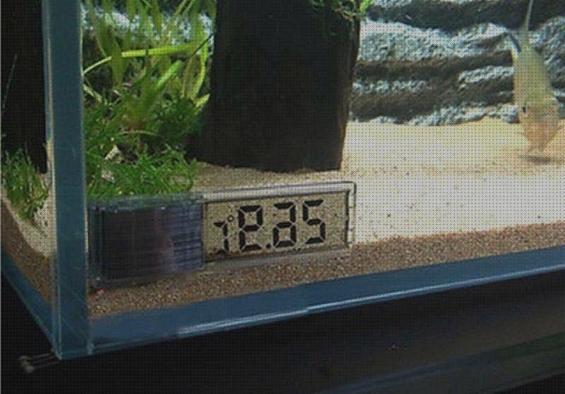 Las mejores termómetros termómetros pegatina tipos