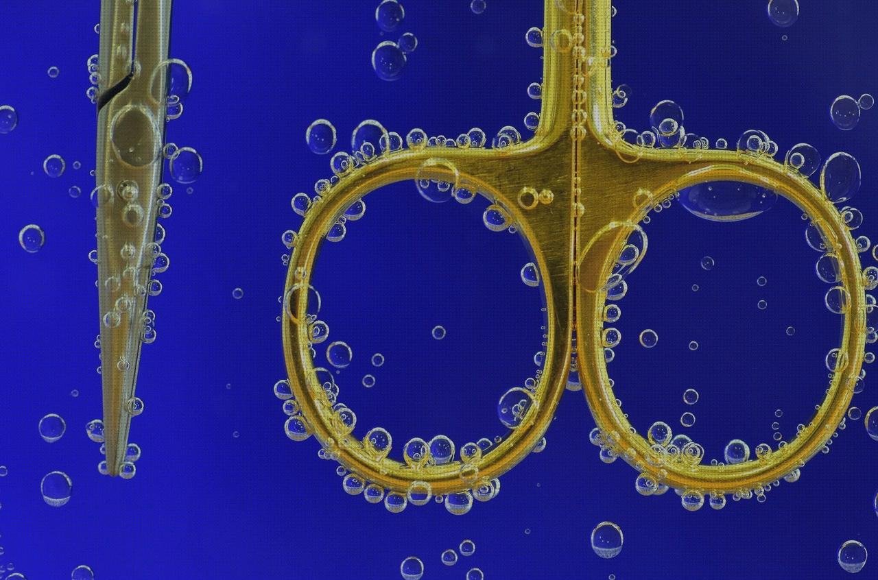 Las mejores tijera quirurgica dental tijeras quirurgicas littauer curva