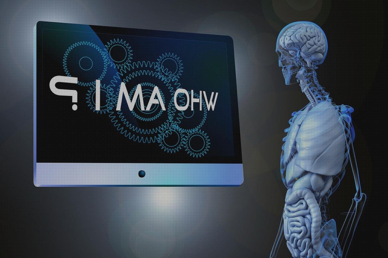 Las mejores marcas de torax