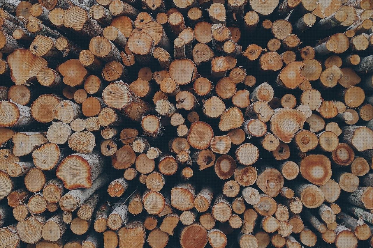 Review de trozos de vendas