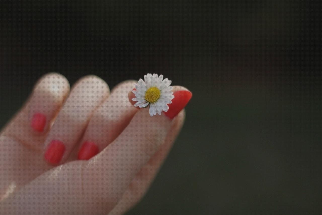 Review de unas vendas bro