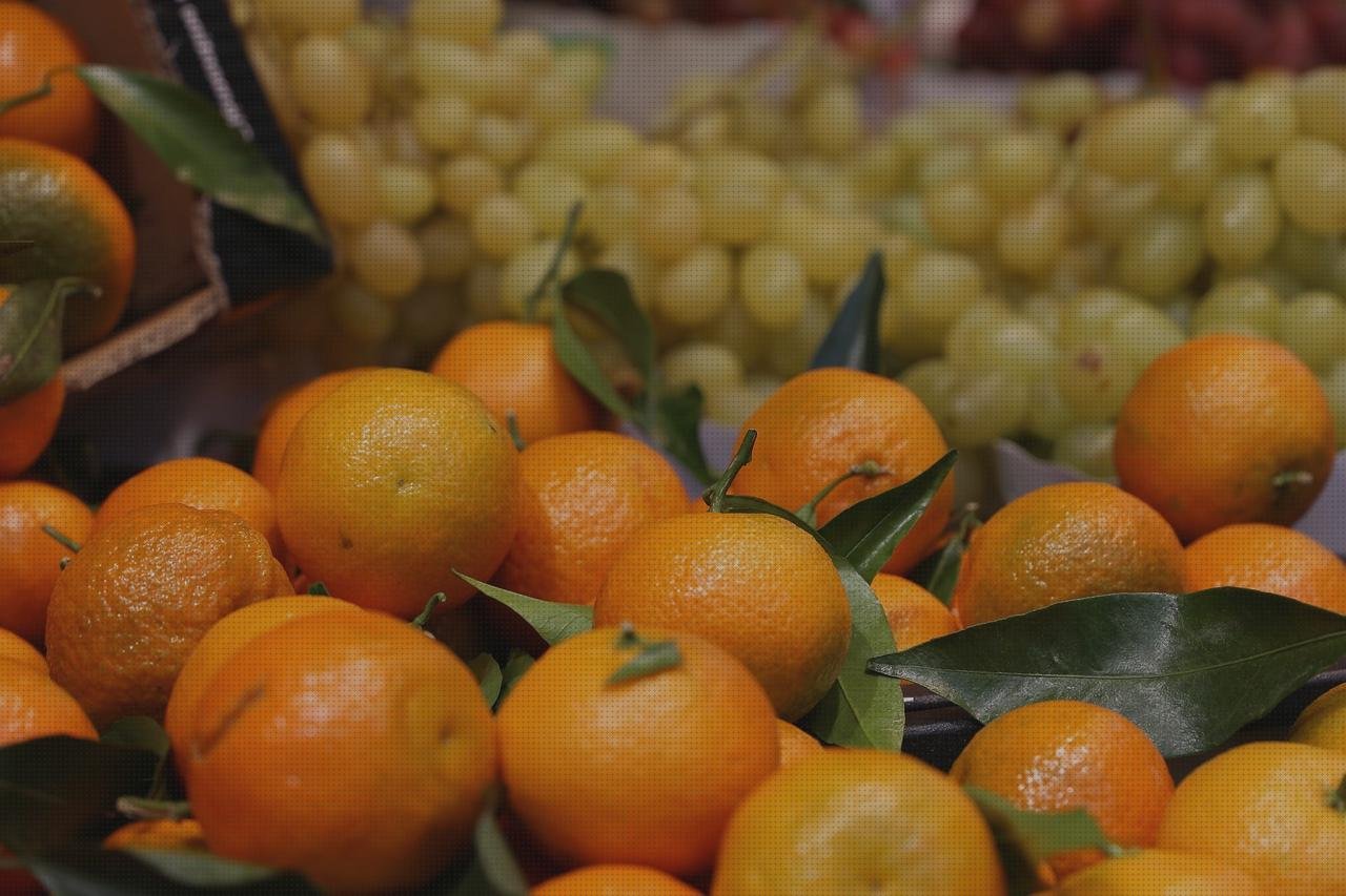 Las mejores marcas de vendas anky vendas vendas color verde oscuro anky