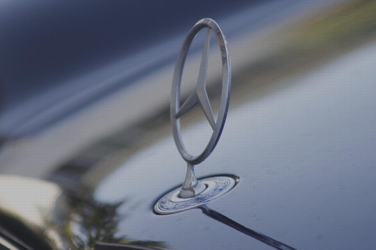 Las mejores marcas de Mas vendas de baja extensibilidad Mas vendas el bronx Mas produtividade de vendas vendas en las articulaciones