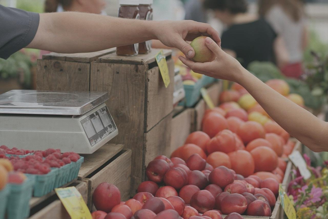 Las mejores marcas de vendas frias vendas vendas frias tratamient