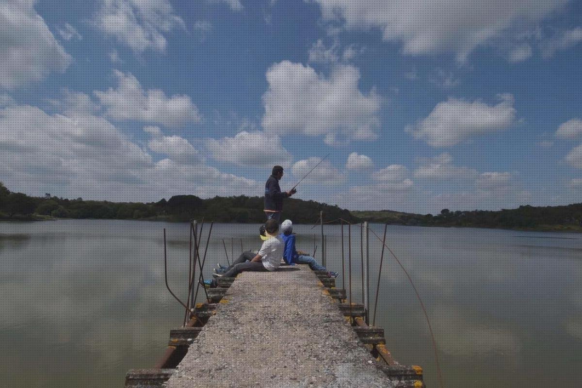 Opiniones de las 7 mejores Vendas Novas Que Ver